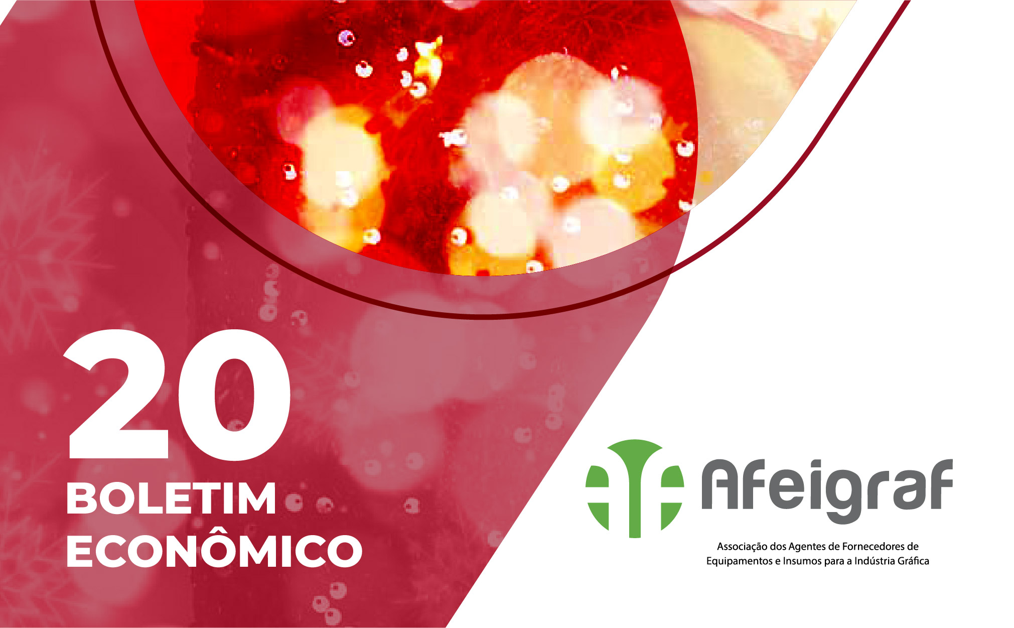 Boletim Econômico Afeigraf chega à 20ª edição