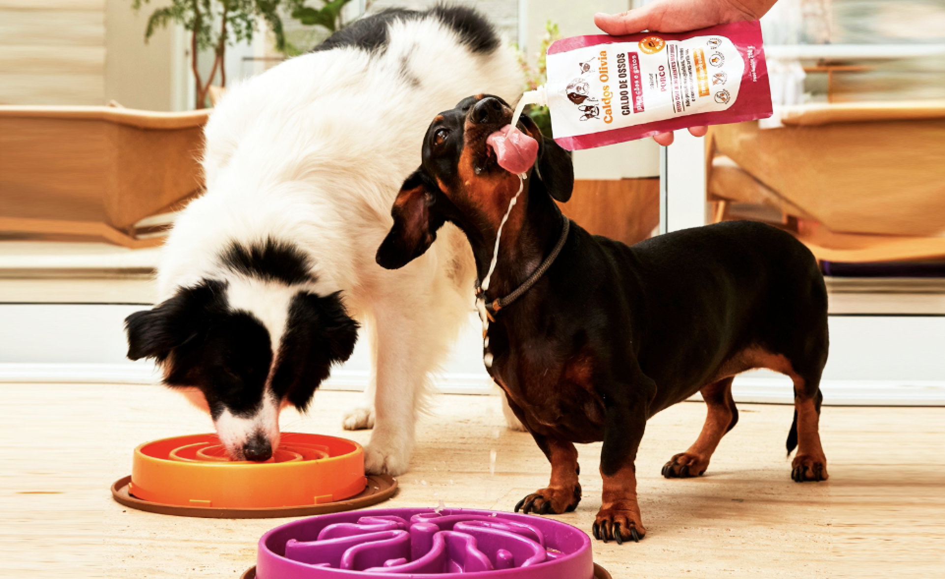 Pouch Retort com Bico: novidade da Gualapack em pet food