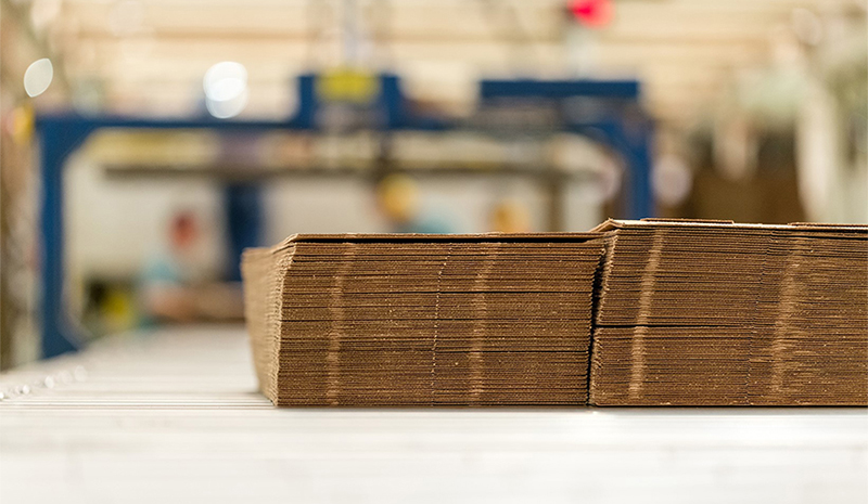 Embalagens de papel e papelão ondulado: cenário de crescimento elevado em 2024