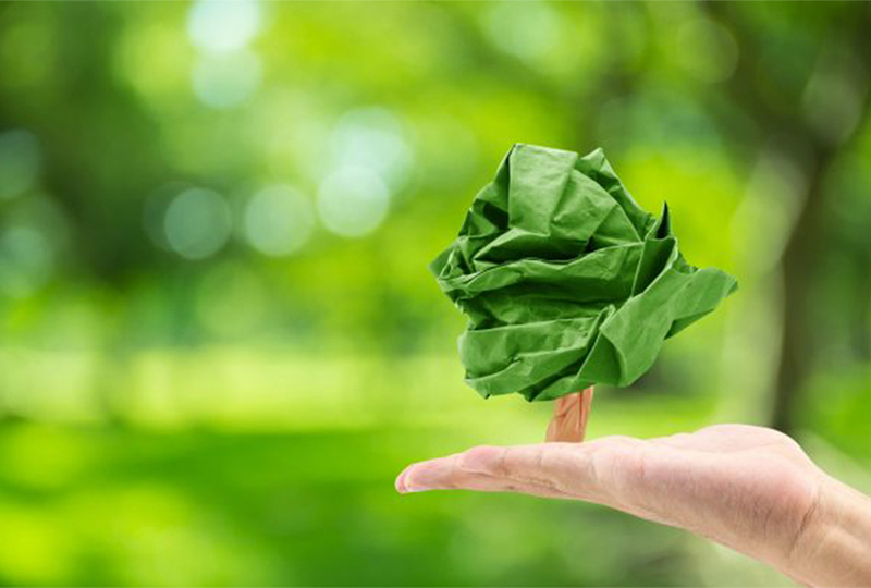 Segunda edição do webinar Embalagem de Papel. A escolha natural traz palestrantes do Brasil e da Europa
