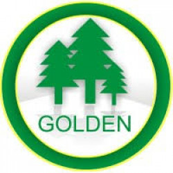 GOLDEN PAPER