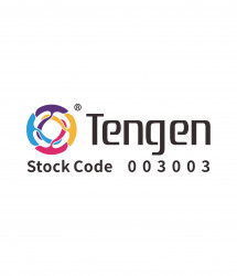 GUANGDONG TENGEN INDUSTRIAL GROUP CO., LTD