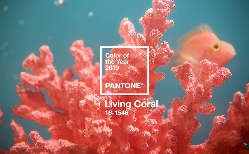Pantone escolhe Cor do Ano 2019